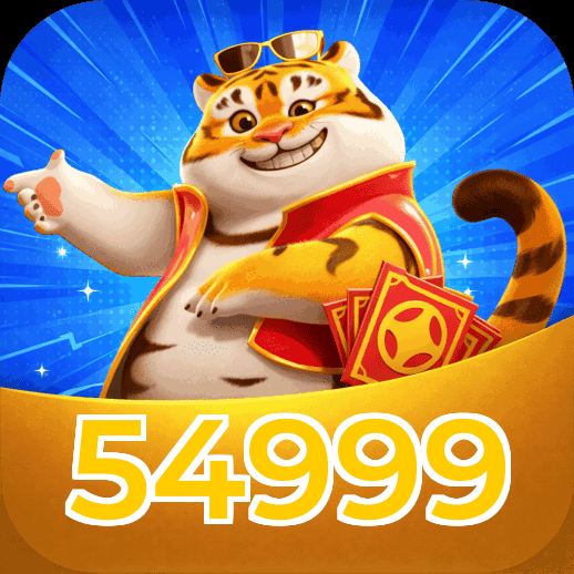 Termos e Condições Transparentes 54999